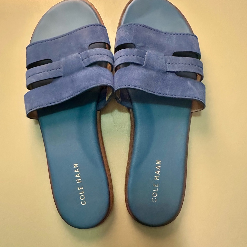 Cole Haan Blue Slide Sandals - Picture 2 of 5